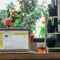 What is Website in IT? Blog Post on Sand It Solution
