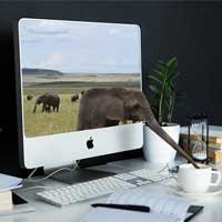 How to Make Your Content Easy and Good for SEO How to Make Your Content Easy and Good for SEO