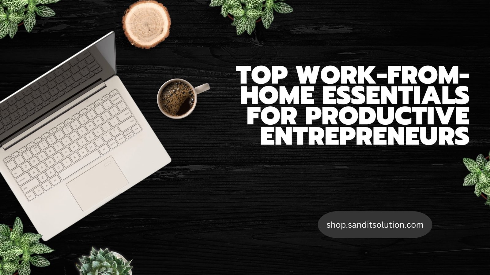 Top Work-From-Home Essentials for Productive Entrepreneurs
